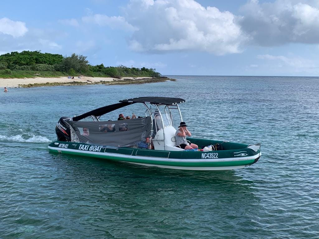 swim with turtle to island noumea